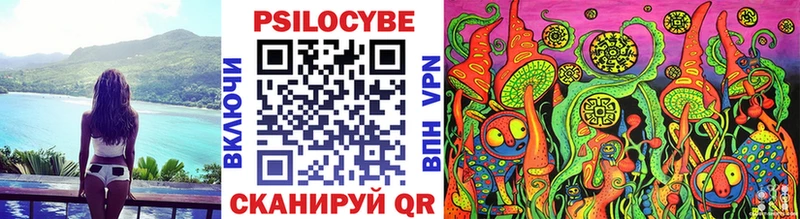 сколько стоит  Александровск-Сахалинский  Псилоцибиновые грибы GOLDEN TEACHER 